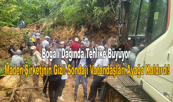 Boğalı Dağında Tehlike Büyüyor #taşova  #çevrekoruma