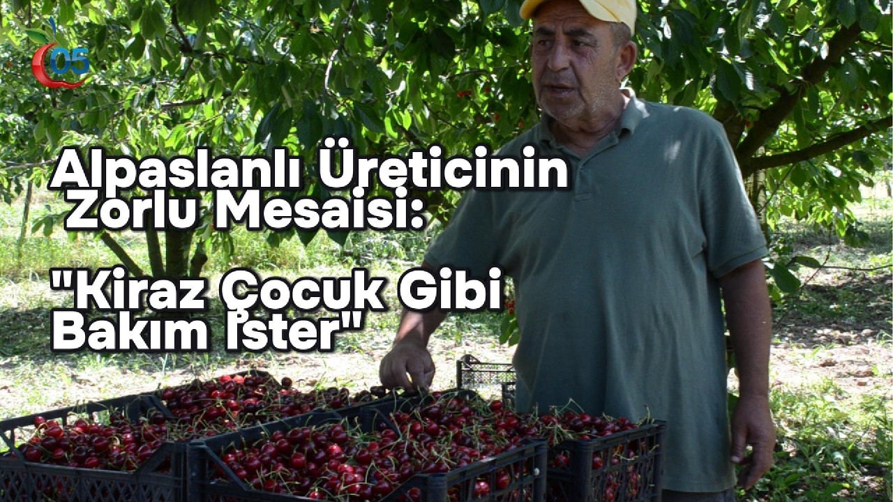 Alpaslanlı Üreticinin Zorlu Mesaisi: 