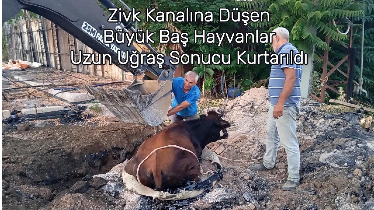 Taşova Videoları